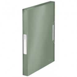 Box na spisy Leitz Style celadonově zelený