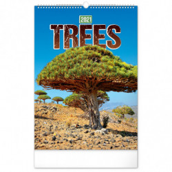 Nástěnný kalendář Stromy...