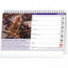 Stolní kalendář Bylinky a čaje 2021, 23,1 × 14,5 cm