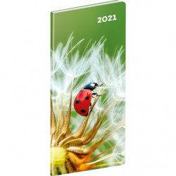 Kapesní diář Beruška 2021,...